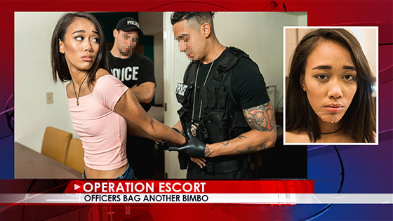 Free watch streaming porn OperationEscort Aria Skye Officers Bag Another Bimbo - xmoviesforyou